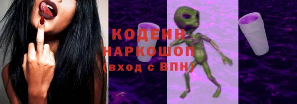 стафф Новозыбков