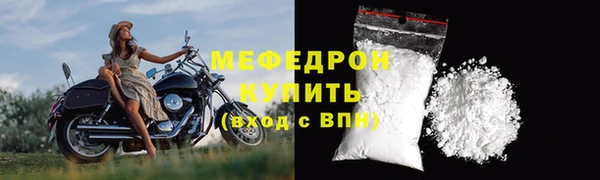 стафф Новозыбков