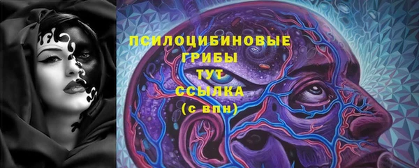 стафф Новозыбков