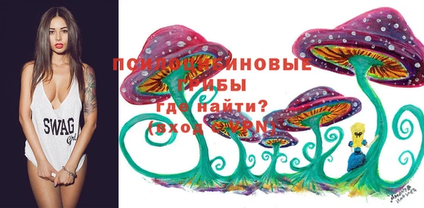 бошки Новодвинск