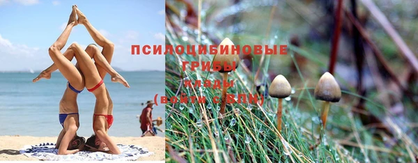 бошки Новодвинск