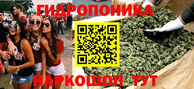 PSILOCYBIN Азнакаево