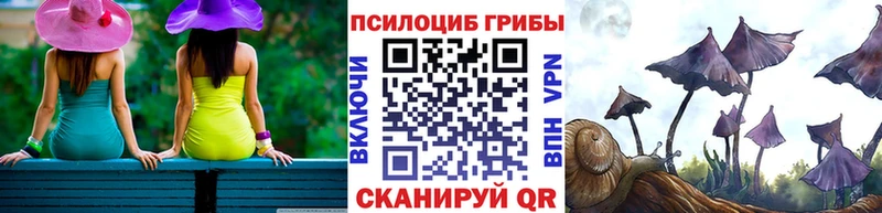 Галлюциногенные грибы мицелий  Азнакаево 