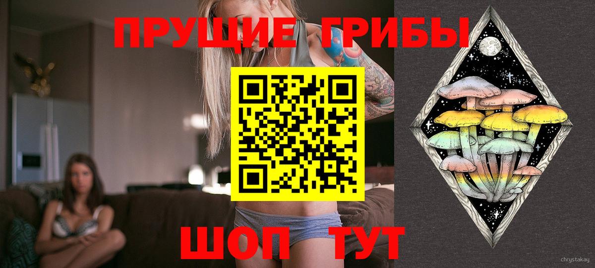 Псилоцибиновые грибы Psilocybe  наркотики  Галлюциногенные грибы мицелий  Азнакаево 