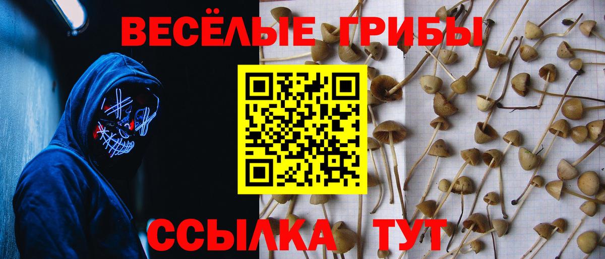 Азнакаево  Галлюциногенные грибы Cubensis  Вход с VPN 