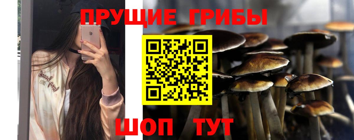 Псилоцибиновые грибы Psilocybe Азнакаево