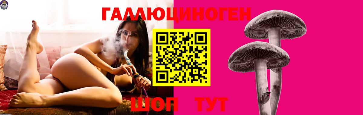 где найти   Галлюциногенные грибы MAGIC MUSHROOMS  Вход с VPN  Азнакаево 